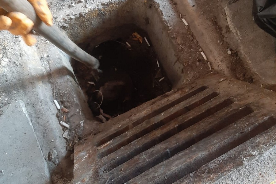 Beypazarı Karaören Vidanjör